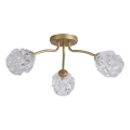Searchlight - Flush-mount chandelier ASTRAL 3xG9/33W/230V gold