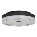 Searchlight - LED Ceiling Light CYPRUS LED/21W/230V Ø 30 cm black