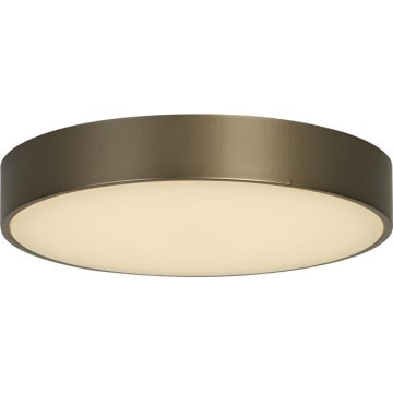 Searchlight - LED Ceiling Light PALMA LED/12W/230V 3000K dia. 25 cm Bronze