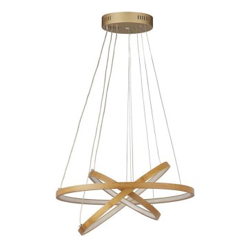 Searchlight - LED Chandelier on a string ETERNITY LED/34,5W/230V gold