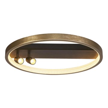 Searchlight - LED Dimmable ceiling light GRACE LED/37,8W/230V