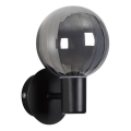Searchlight - Wall light LUMINSPHERE 1xG9/7W/230V black