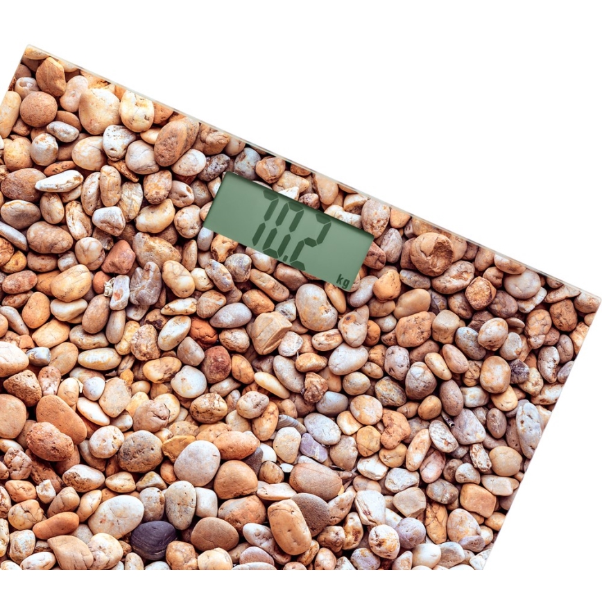 Sencor - Digital personal scale with LCD display 1xCR2032