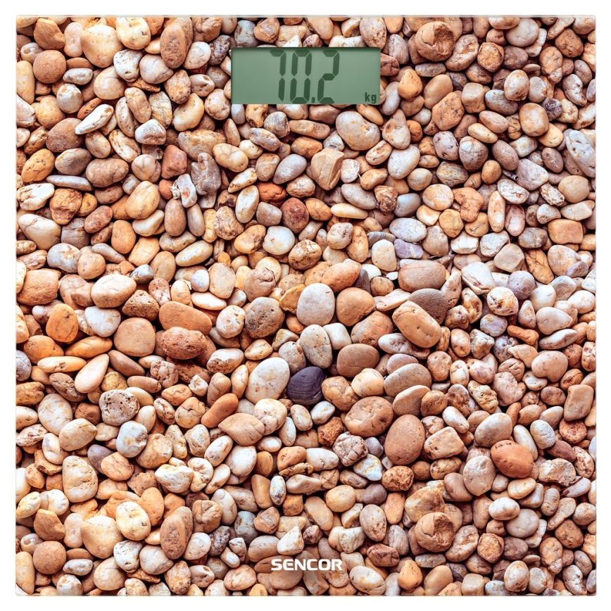 Sencor - Digital personal scale with LCD display 1xCR2032