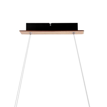 SENTO LED Cable Pendant, 19W/230V, Wood