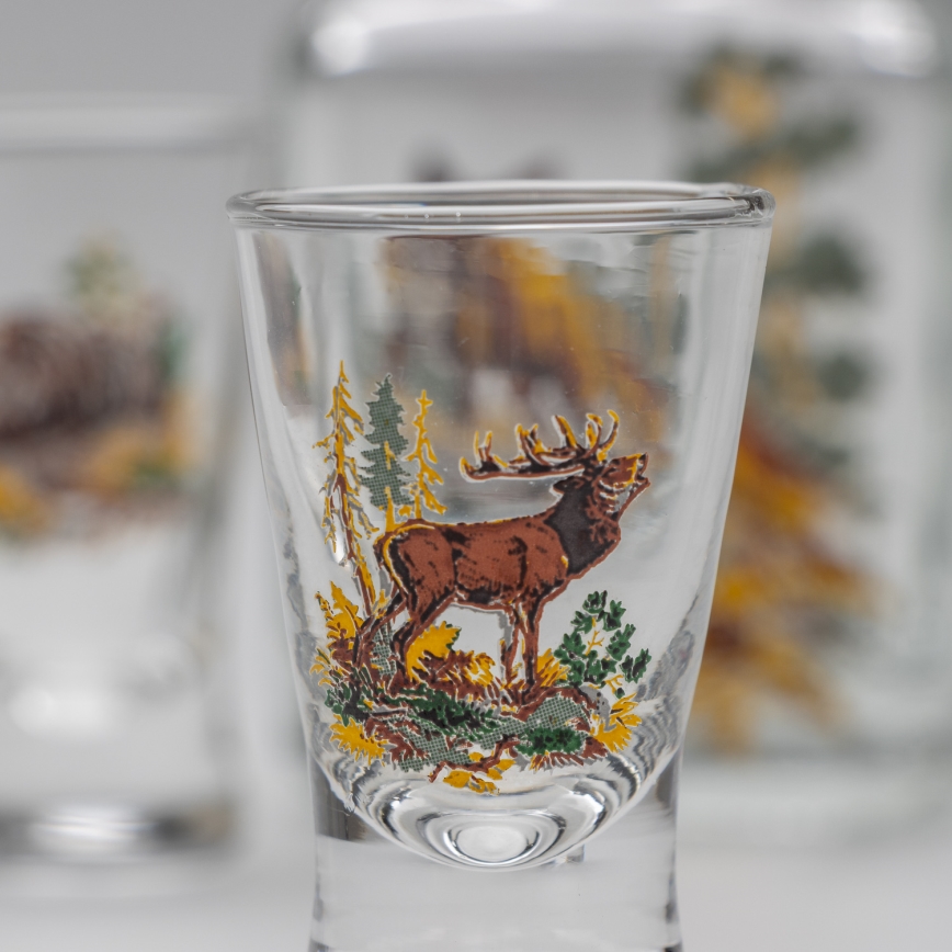 Set 1x glass bottle and 2x glass for shots clear with a fox motif