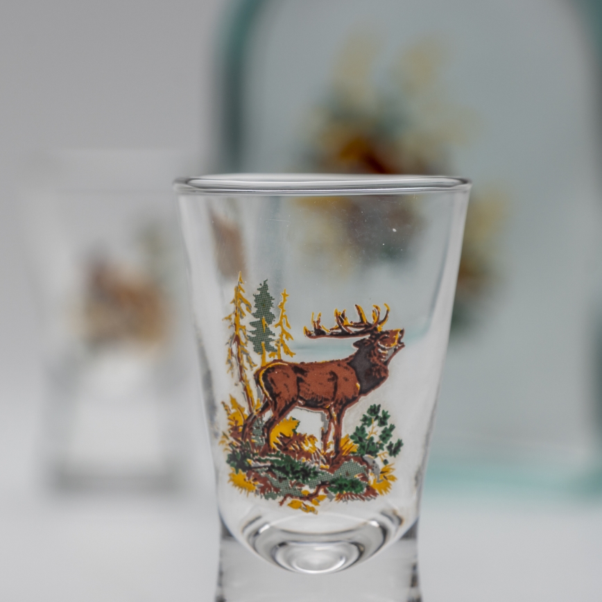 Set 1x glass bottle and 2x glass for shots clear with a hare motif