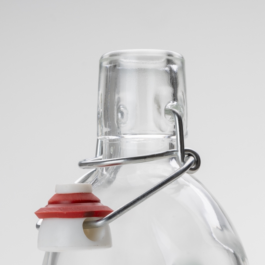 Set 1x glass bottle and 2x glass for shots clear with a plum motif