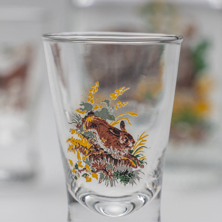 Set 1x glass bottle and 2x glass for shots clear with a wild boar motif
