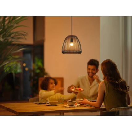 SET 2x LED Dimmable bulb Philips Hue WHITE AMBIANCE P45 E14/5,1W/230V 2200-6500K