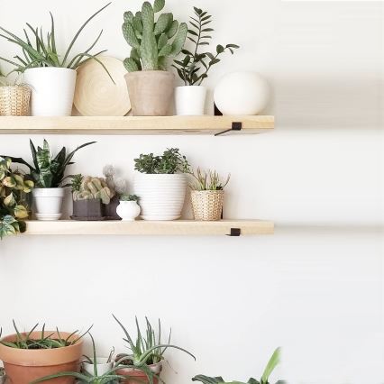 SET 2x Wall shelf 16x60 cm spruce