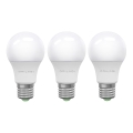 SET 3x LED Bulb ECOLINE A60 E27/15W/230V 4000K - Brilagi