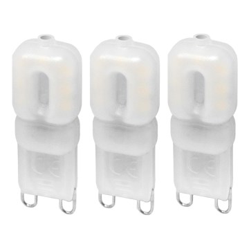SET 3x LED Bulb ECOLINE G9/2,5W/230V 3000K - Brilagi