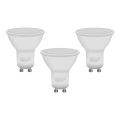 SET 3x LED Bulb ECOLINE GU10/6W/230V 4000K - Brilagi