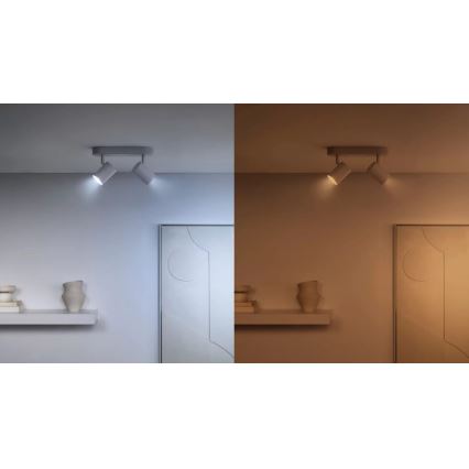 SET 3x LED RGBW Dimmable bulb PAR16 GU10/4,7W/230V 2200-6500K Wi-Fi - WiZ