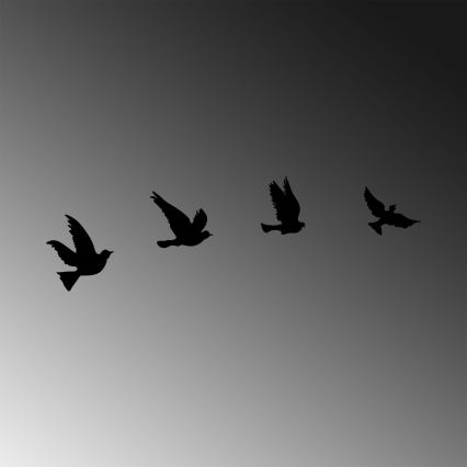 SET 4x Wall decoration birds metal