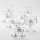 Set 6x glass cup with a saucer and 1x sugar bowl clear bouquet no. 3