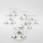 Set 6x glass cup with a saucer clear bouquet no. 2