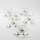 Set 6x glass cup with a saucer clear bouquet no. 3