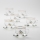 Set 6x glass cup with a saucer clear bouquet no. 8