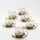 Set 6x glass cup with a saucer smoky bouquet no. 5