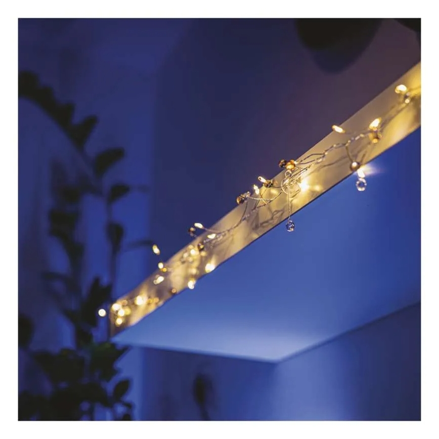 Set of 10 Christmas Light Clips