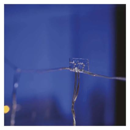 Set of 10 Double Holders for Christmas String Lights