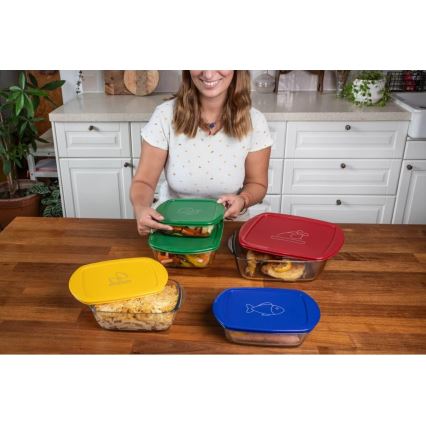 Set of 2 PYREX Glass Food Storage Containers 1.2/2.5 L