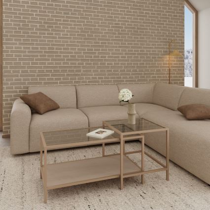 Set of 2 SARON Coffee Tables 90 x 50 cm, Gray/Clear