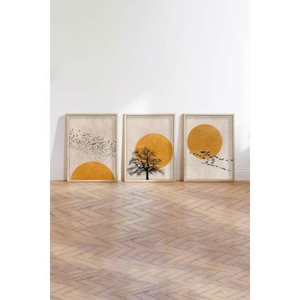 Set of 3 Framed Prints 50x70 cm beige/orange