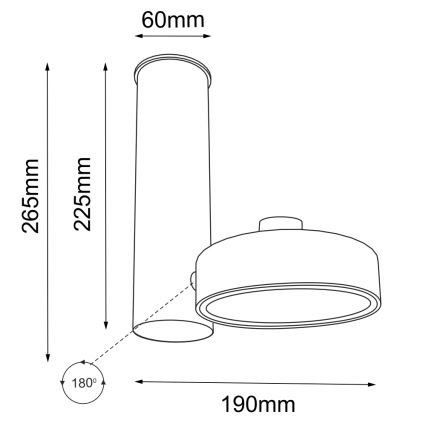 Shilo - Spotlight 1xGU10/15W/230V black