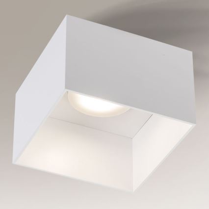 Shilo - Ceiling light 1xGX53/15W/230V white