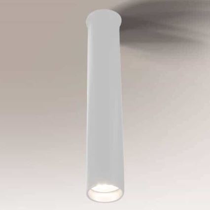 Shilo - Bathroom ceiling light 1xGU10-MR11/15W/230V IP44 white