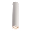 Shilo - Spotlight 1xGU10/15W/230V 30 cm white