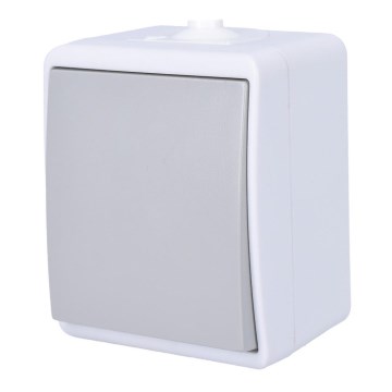 Single-pole switch for humid environment IP54
