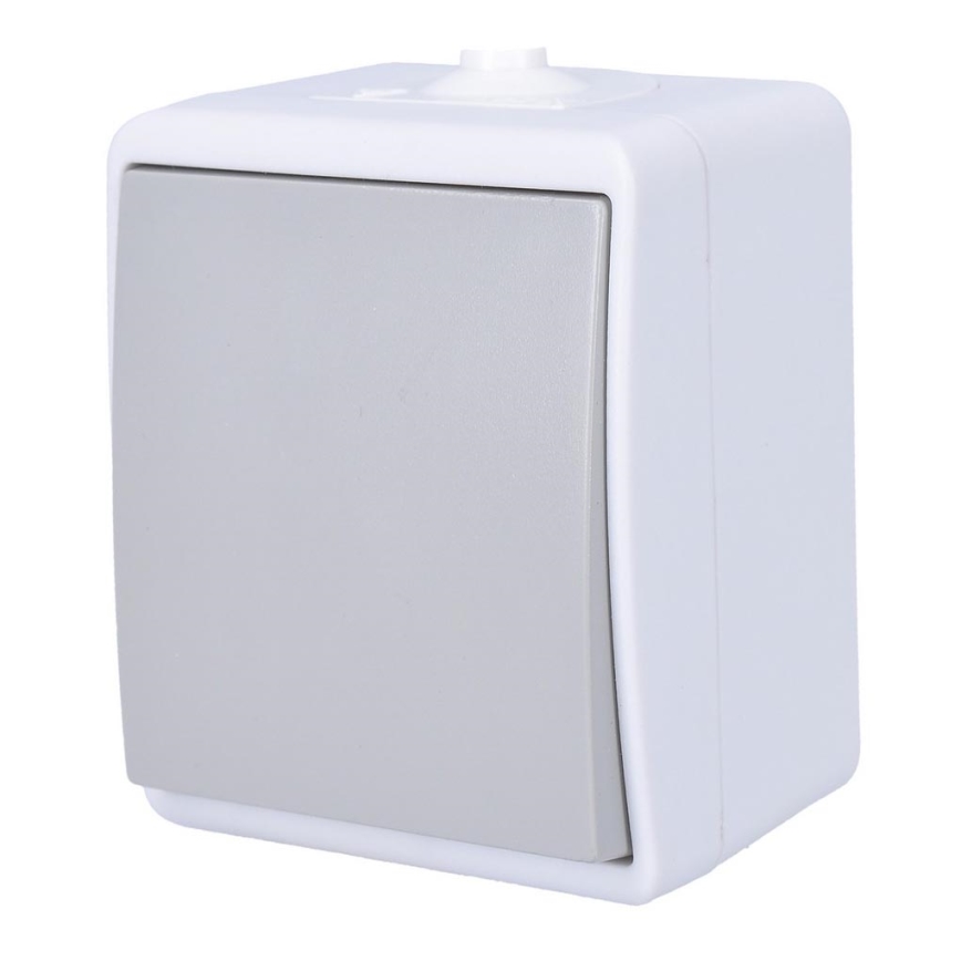 Single-pole switch for humid environment IP54