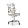 SIRAQ Multicolored Office Chair