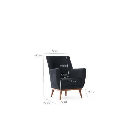 SIRO Armchair in Anthracite
