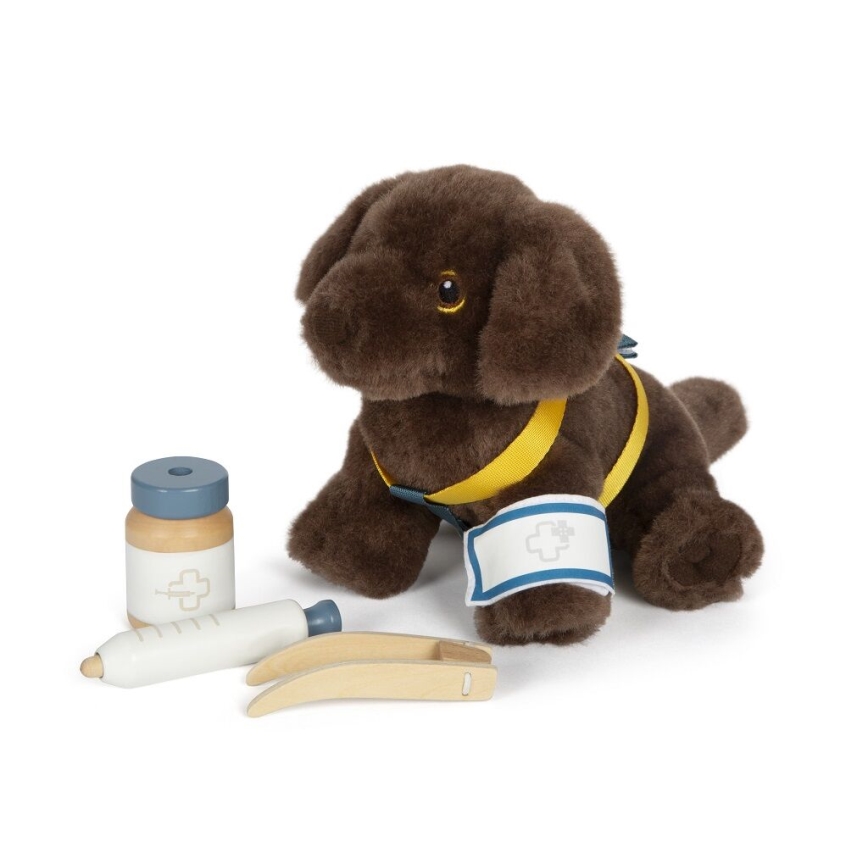 Small Foot - Plush dog with care kit