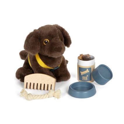 Small Foot - Plush dog with care kit