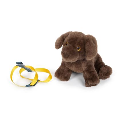Small Foot - Plush dog with care kit