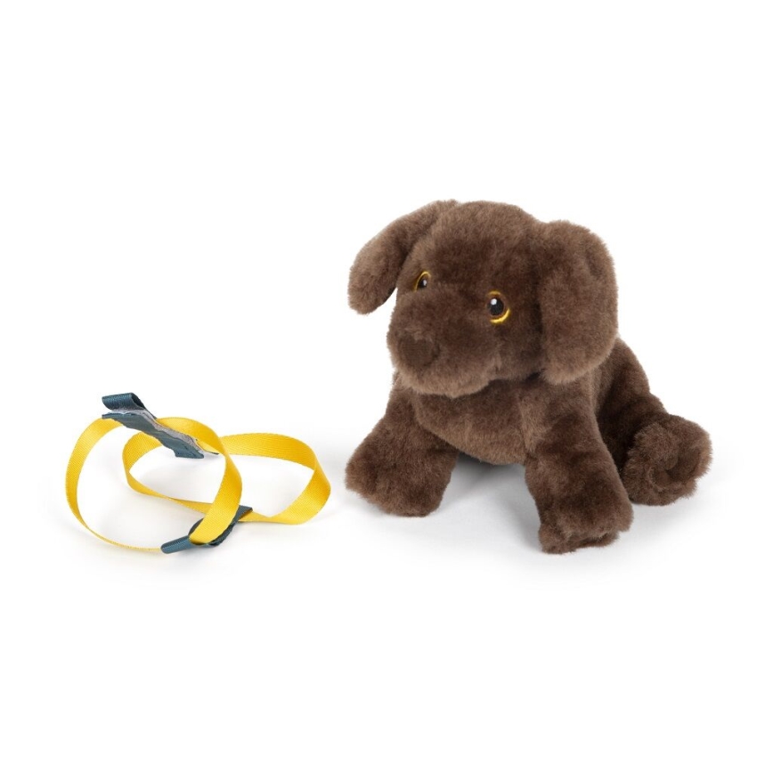 Small Foot - Plush dog with care kit