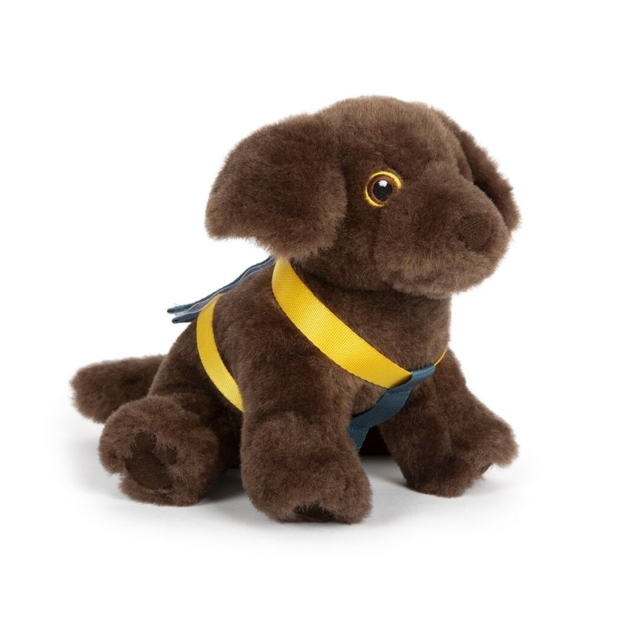Small Foot - Plush dog with care kit