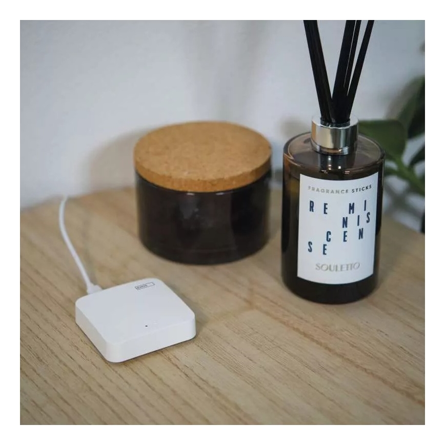 Smart gateway GoSmart ZigBee 3.0 5V Wi-Fi
