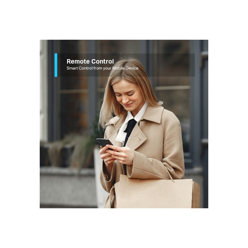 Smart Plug F 3680W Wi-Fi