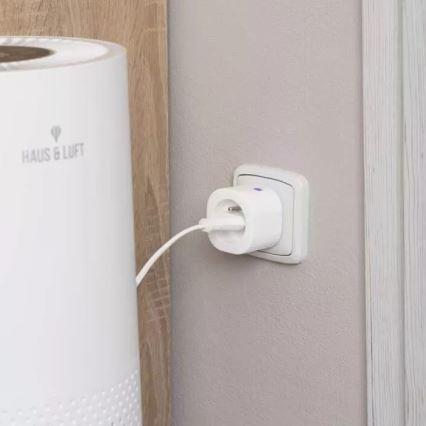 Smart socket GoSmart 3680W/230V/16A Wi-Fi Tuya