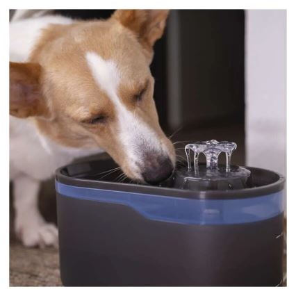 Smart water fountain for pets 2,6 l/5V grey Wi-Fi