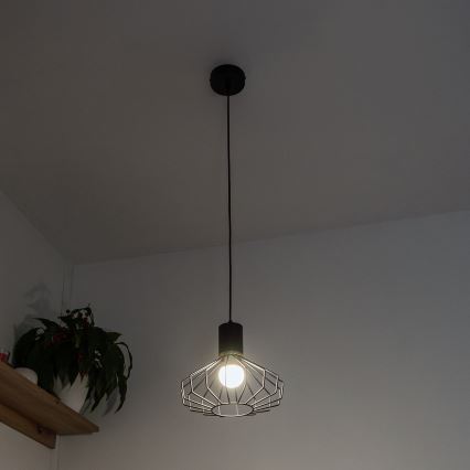 SOLANO Cable Pendant Light 1xE27/15W/230V Black/Gold