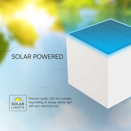 LED Solar Wall Light with Sensor LED/9W/5V 3000/4000/5000K IP65 2600 mAh White