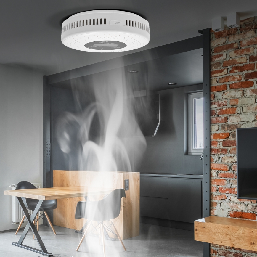 Smoke and carbon monoxide detector with LCD display 2xAA